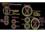 create handwritten digital biology notes